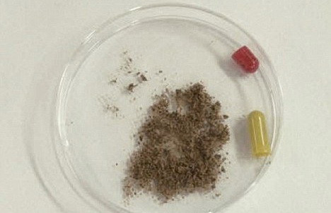 Mii de pastile din pudra de embrioni si copii morti, descoperite in Coreea de Sud