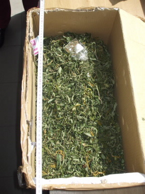 Prins pe strada cu canabis in buzunar.Un tanar de 25 de ani risca puscaria pentru trafic de droguri