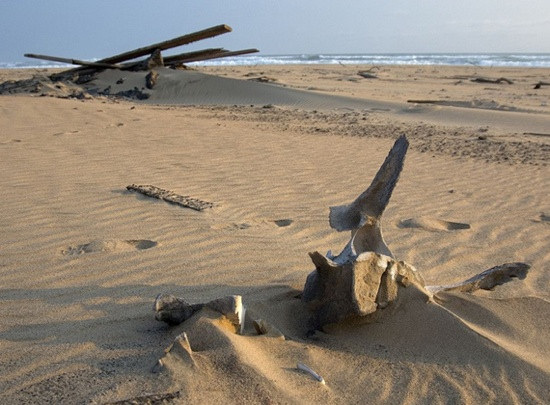 Cele mai morbide 10 denumiri de locuri din lume! FOTO