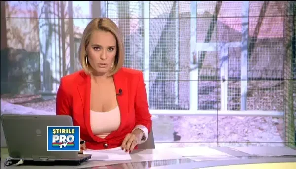 Doi ursi tinuti 11 ani in captivitate vor cunoaste o viata noua