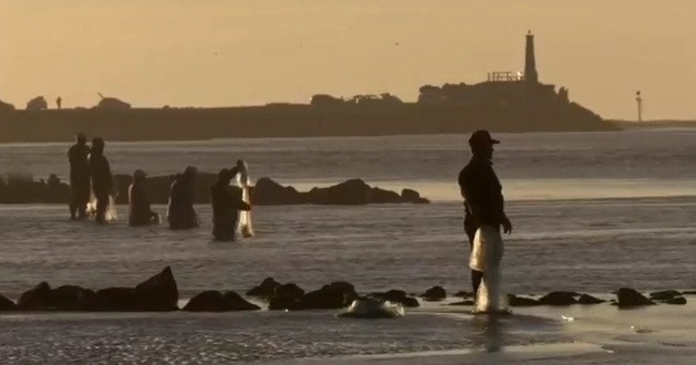 Descoperire infricosatoare pentru cativa pescari de pe raul Mures. Ce au vazut plutind pe apa