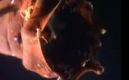 Cele mai urate 7 creaturi subacvatice, cosmarul oricarui scafandru. VIDEO