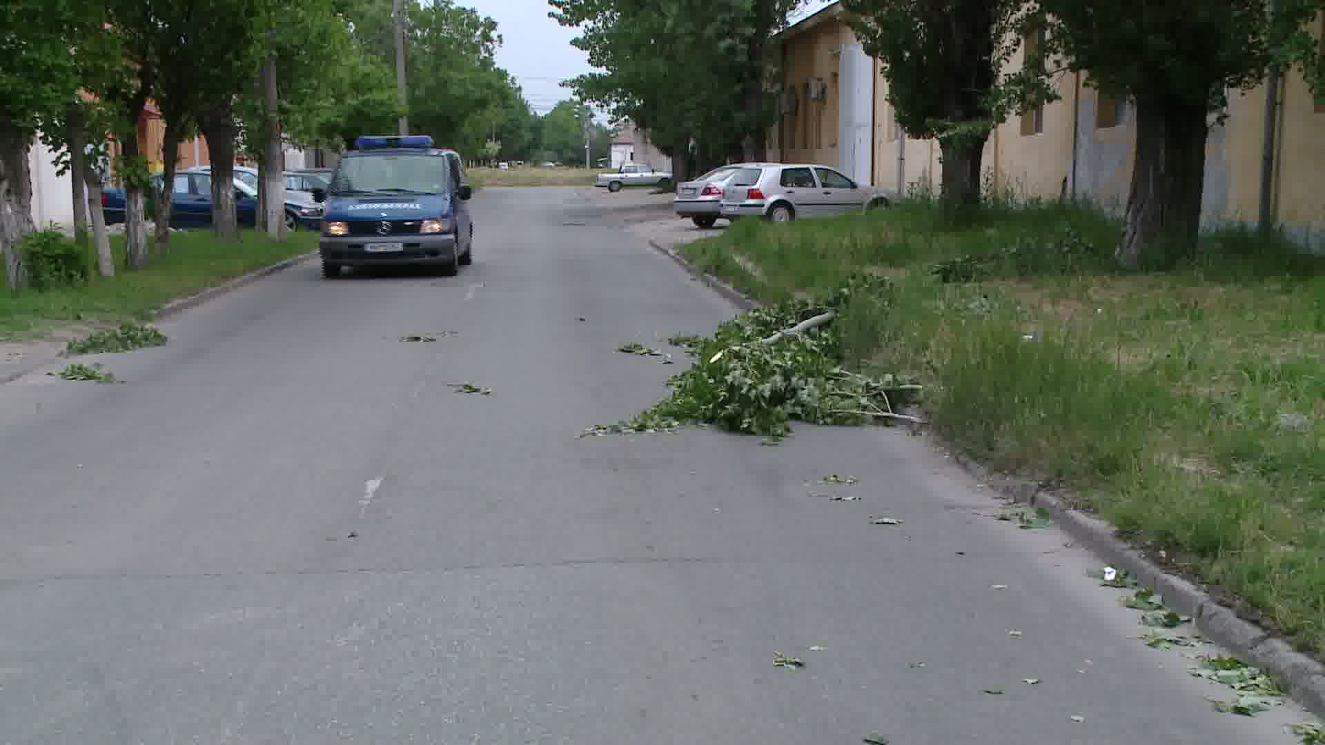 Vijelie puternica in tot judetul. Vezi urmarile rafalelor de vant