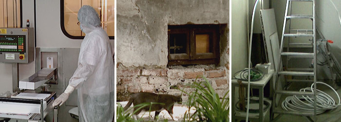 Falimentul Institutului Cantacuzino. Cum a pierdut dreptul de a produce pana si vaccinul antigripal