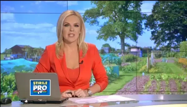 Fericire la metru patrat. Afla ce pasi trebuie sa urmezi pentru a avea o gradina superba tot anul