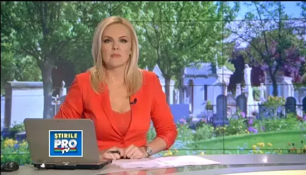 Osemintele marelui Constantin Brancusi ar putea fi repatriate.