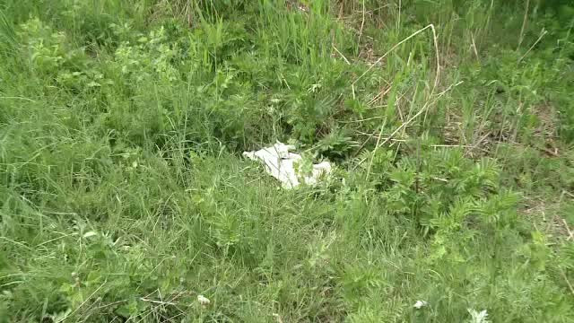 Bebelusul din Iasi aruncat intr-o rapa de mama a fost gasit chiar de sora lui