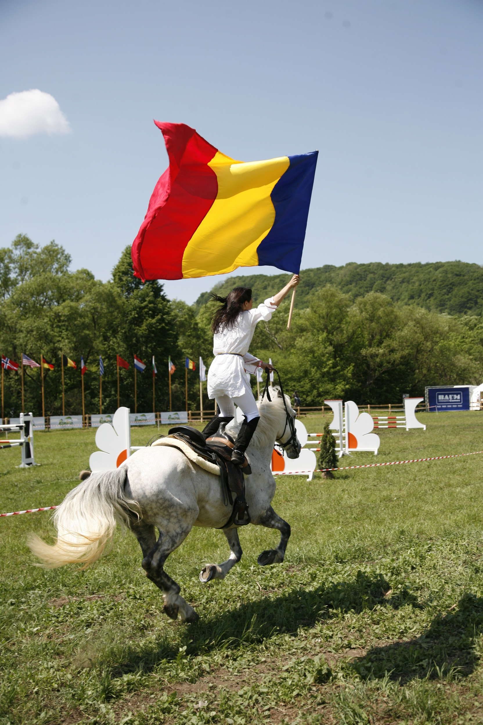Transylvania Horse Show