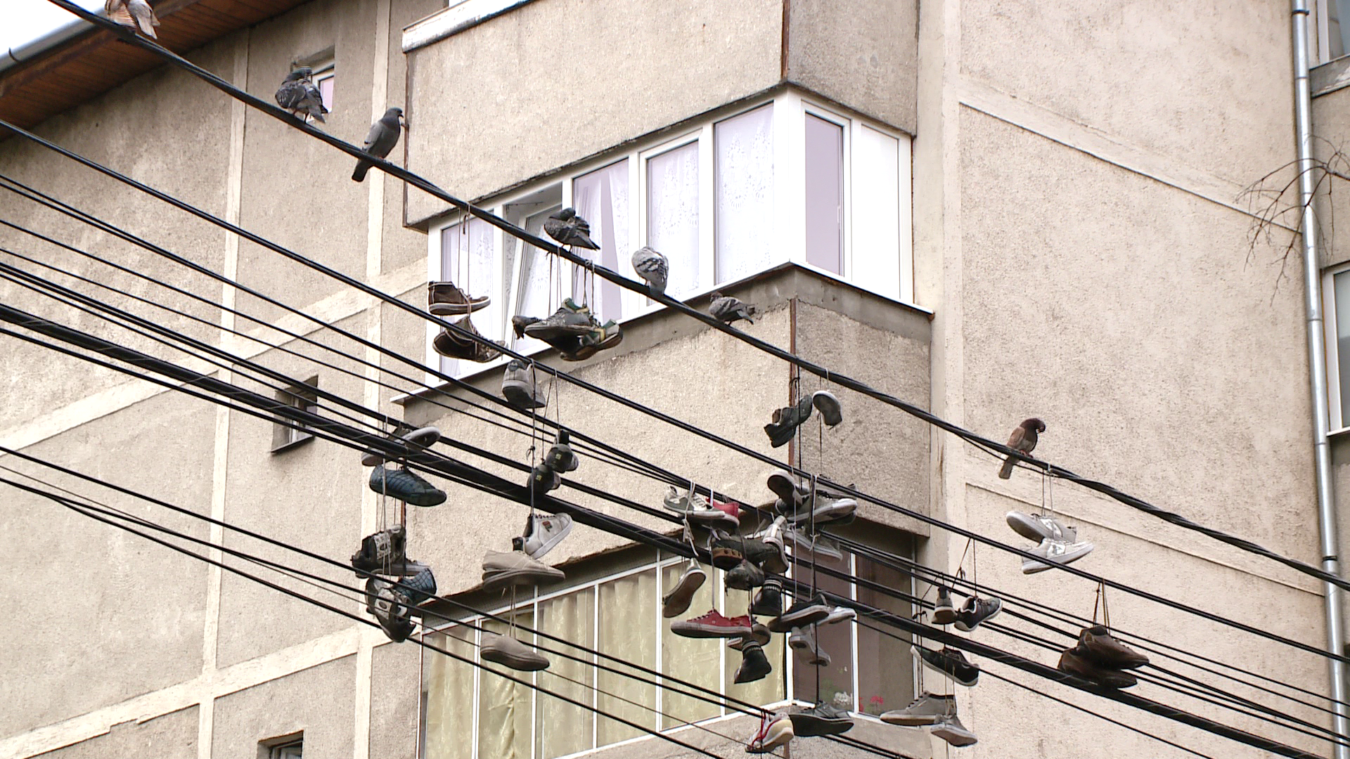 "Sport" de cartier. Ultima distractie a tinerilor este aruncatul pantofilor pe firele de tensiune