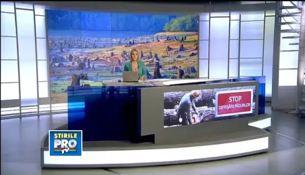 "Va pasa daca padurile va sunt furate"? Cum puteti raporta taierile ilegale de paduri