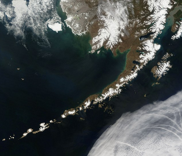 Seismologi: Tragedia din Japonia are sanse sa se repete. Un tsunami ar putea lovi Statele Unite