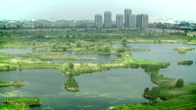 Delta Vacaresti, coltul de rai din mijlocul Capitalei, va deveni parc natural