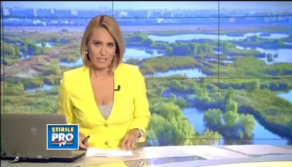 Delta din mijlocul Bucurestiului. Un adevarat ecosistem, intre blocuri prafuite si munti de gunoaie