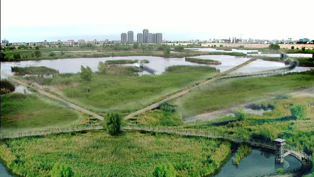 Bucurestenii care vad Delta Vacaresti de pe terasa blocului. Cat va dura pana sa avem rezervatie naturala in Capitala