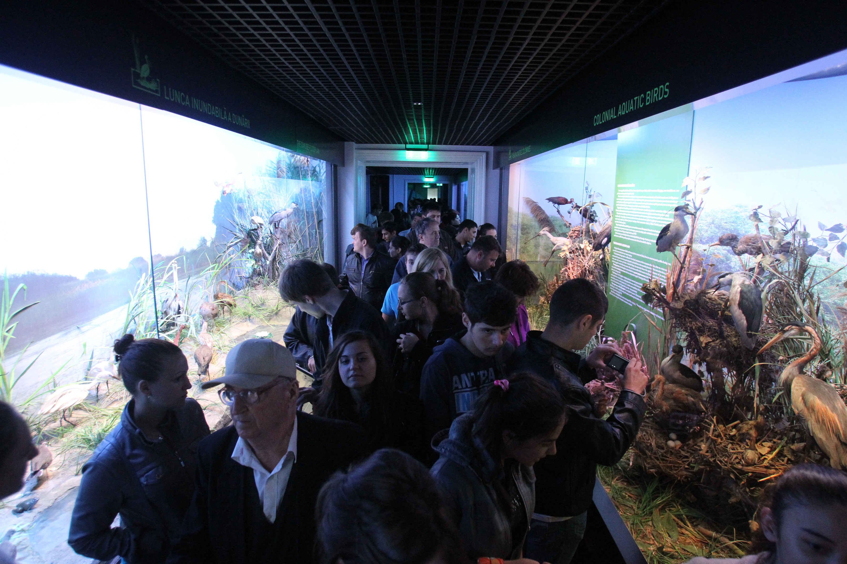 Noaptea Muzeelor: 100.000 vizitatori in Capitala. Muzeul Antipa a fost cel mai vizitat