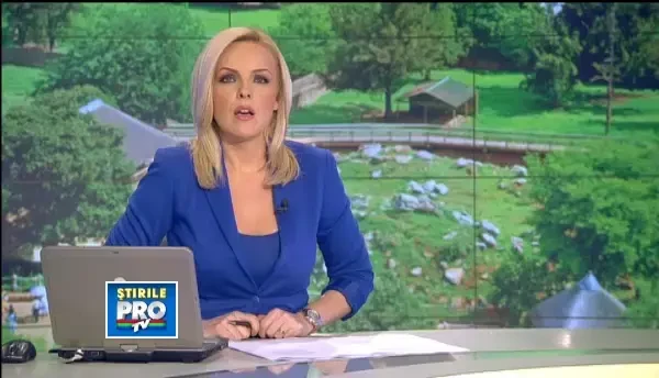 Barbatul atacat de leu la Zoo Brasov era in stare de ebrietate. A facut un gest de neinteles