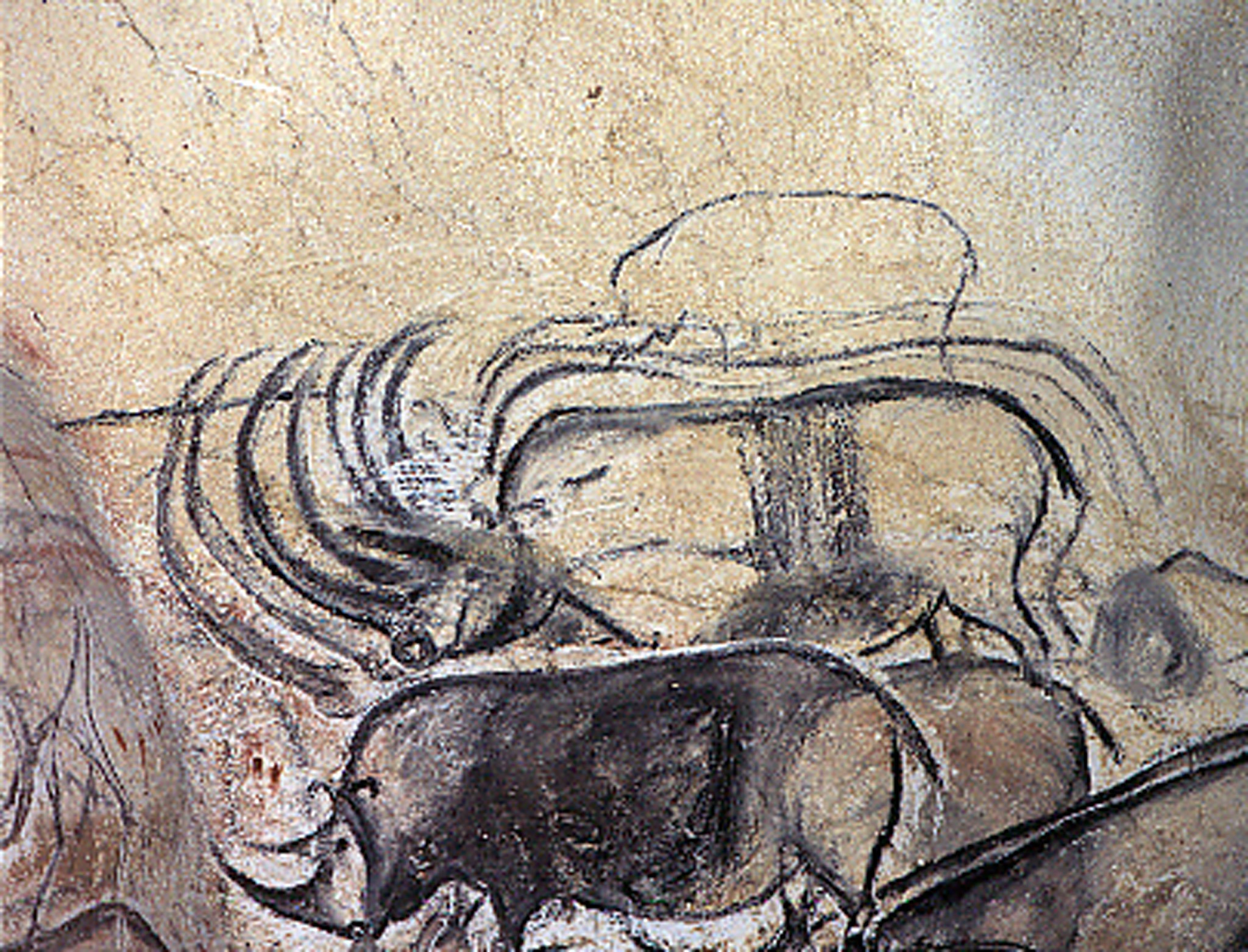 Un Facebook preistoric, descoperit in Suedia si Rusia. Inscriptii misterioase pe pietre uriase