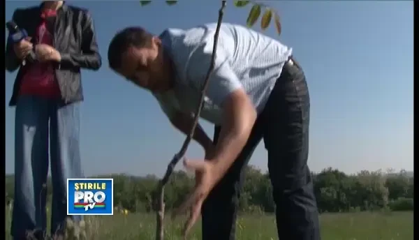 Afacere de succes. Nucile noastre vor lua drumul Europei