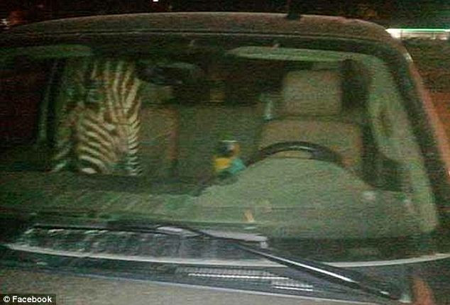 Ce au gasit politistii in masina unui sofer beat crita si cum a ajuns acesta dupa gratii