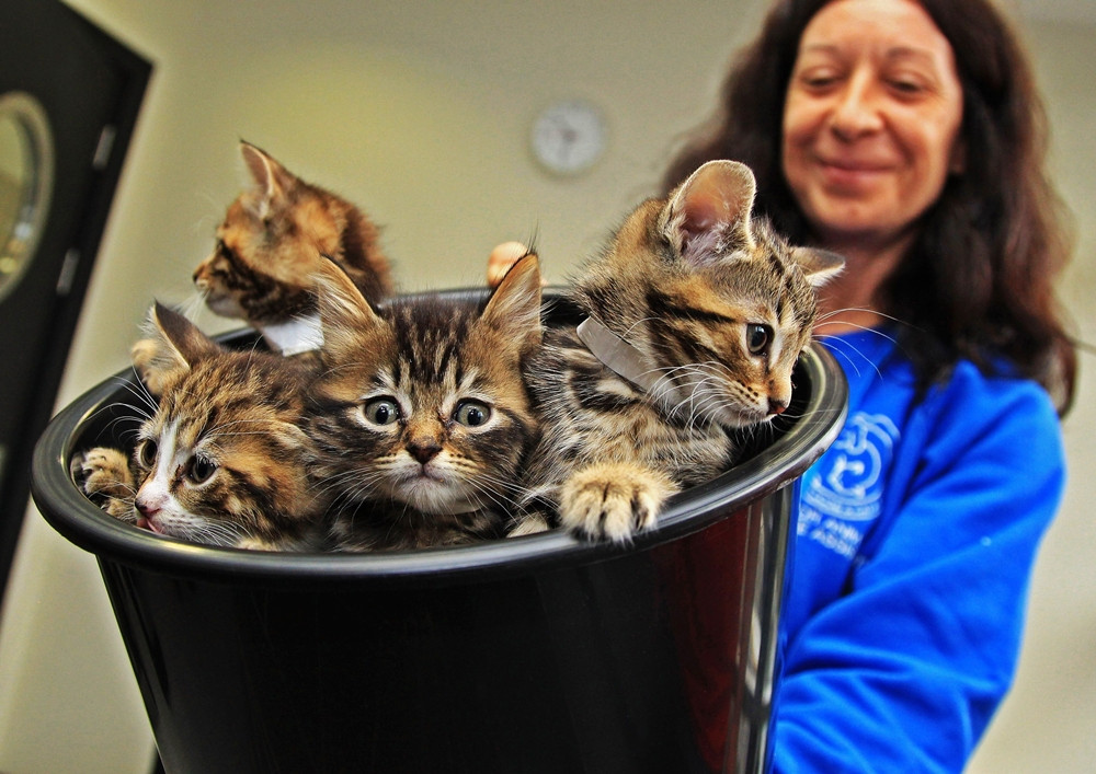 Motivul incredibil pentru care un barbat a divortat de sotia sa