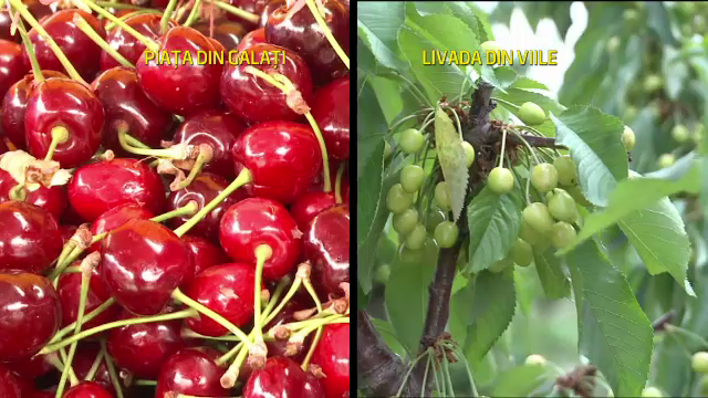 De unde provin ciresele "romanesti" de pe tarabe. La sursa de pe eticheta nici macar nu s-au copt