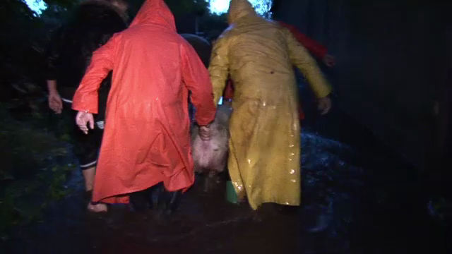 Romania, sub spaima INUNDATIILOR. Imagini din cele mai afectate zone dupa ploile de joi