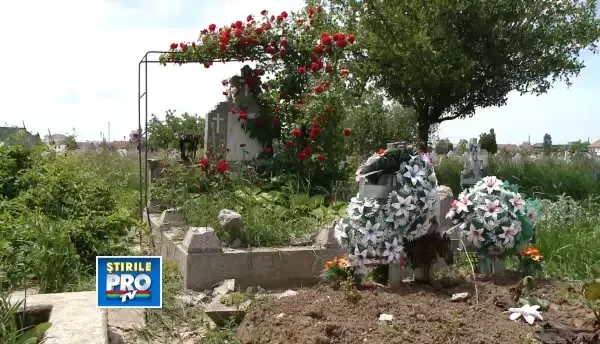 Vandalizare mormant Timisoara