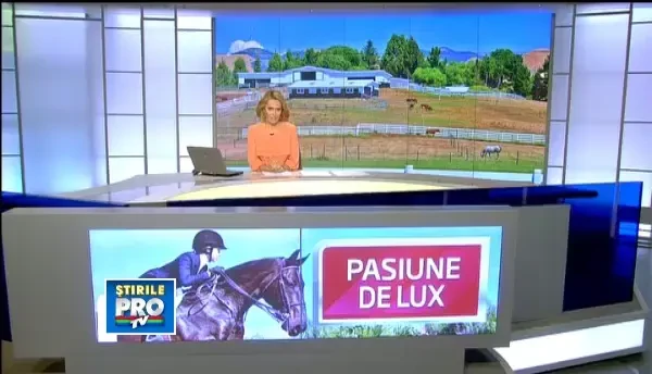 "Romania, te iubesc!" Caii de rasa, noua pasiune a romanilor cu bani