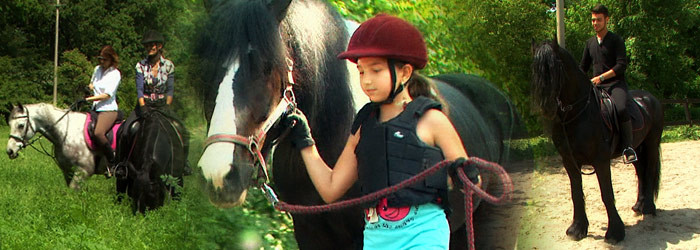 O lume disparuta complet timp de zeci de ani din Romania reinvie. Cat costa pasiunea pentru cai