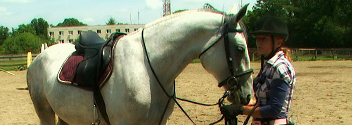 Calaritul, un hobby national care imbogateste Occidentul. Romanii dau averi pe un armasar de rasa