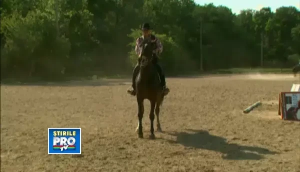 Romania, te iubesc: Calaritul, un hobby national care imbogateste Occidentul