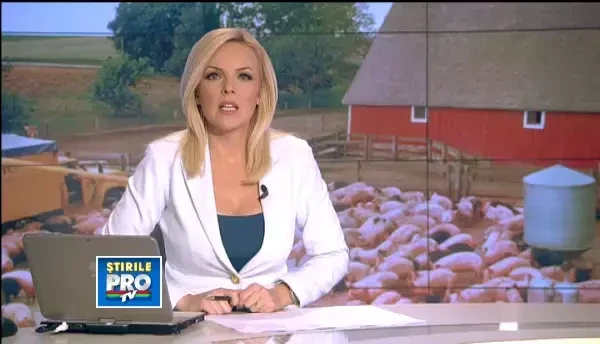 Afacerea care iti aduce castiguri frumoase si iti alunga vecinii. Fonduri UE pentru ferme de porci