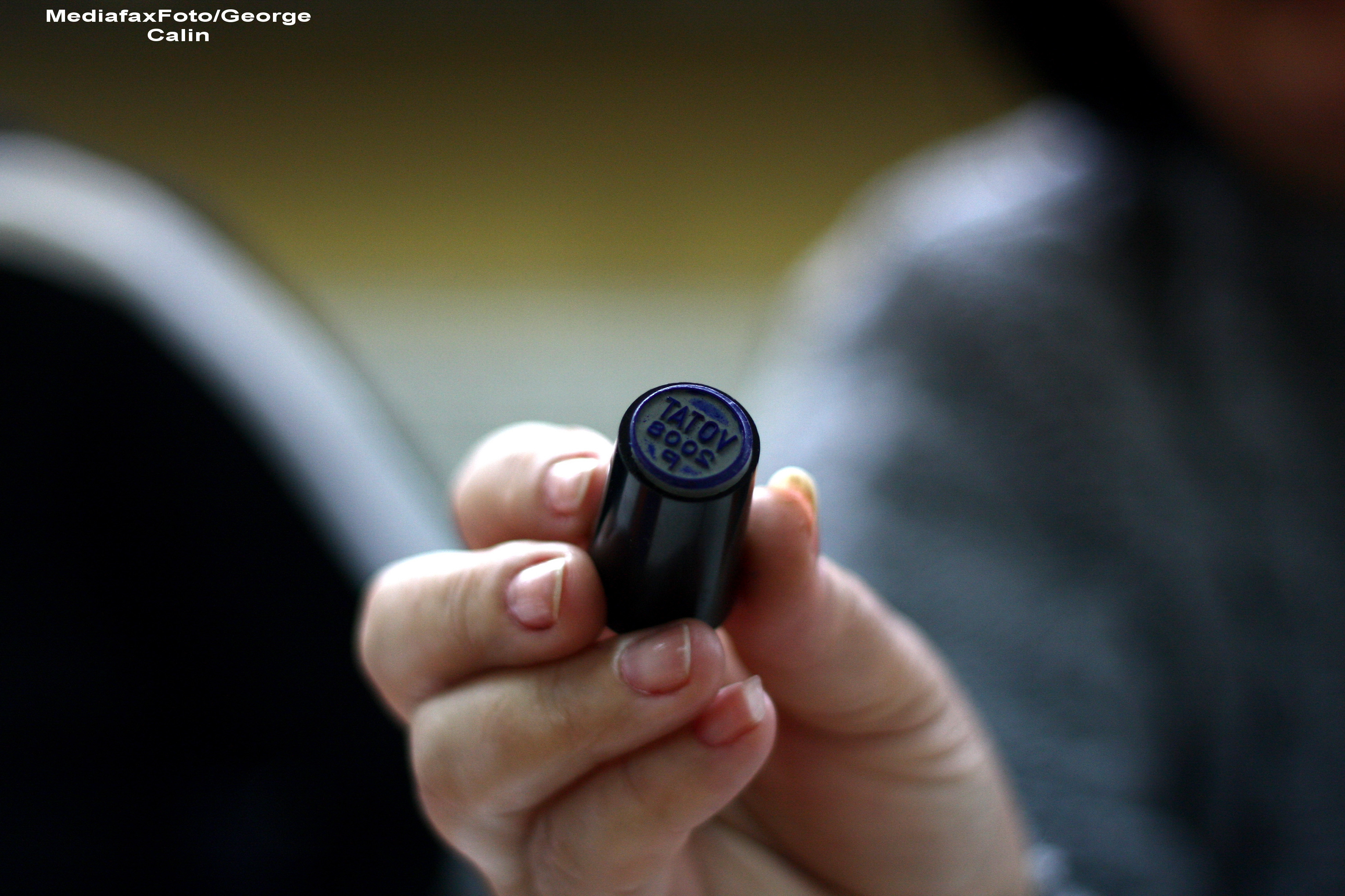 REZULTATE ALEGERI LOCALE 2012. Primaria Drobeta Turnu Severin si Consiliul Judetean Mehedinti