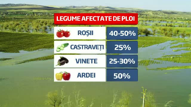 Ciresele romanesti risca sa devina doar o frumoasa amintire. Vremea a lovit puternic in agricultura