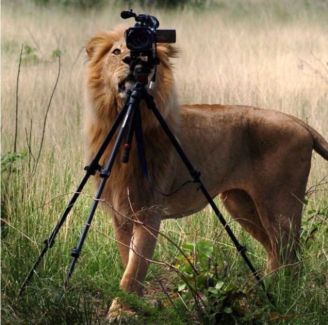 iLikeIT: Poti trai fericit cu mai putin de 200 de obiecte personale? Invata cum sa fii ZEN