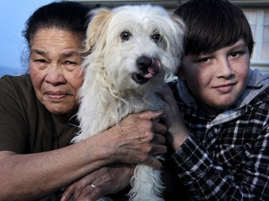 Omul e unori cel mai bun prieten al cainelui. Un baiat de 12 ani, erou pentru un catel mic