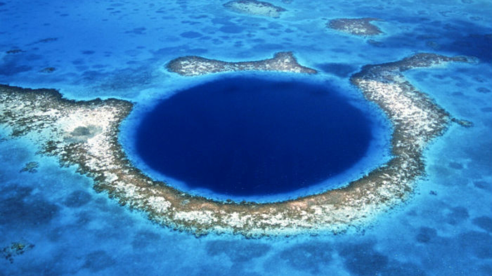 Șoc la mare adâncime. Ce au descoperit scafandrii pe fundul Marii Găuri Albastre din Belize