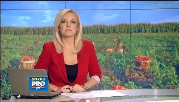 Rosiile romanesti au intrat in sfarsit pe piata. Sunt mai gustoase, mai sanatoase si la 50% din pret