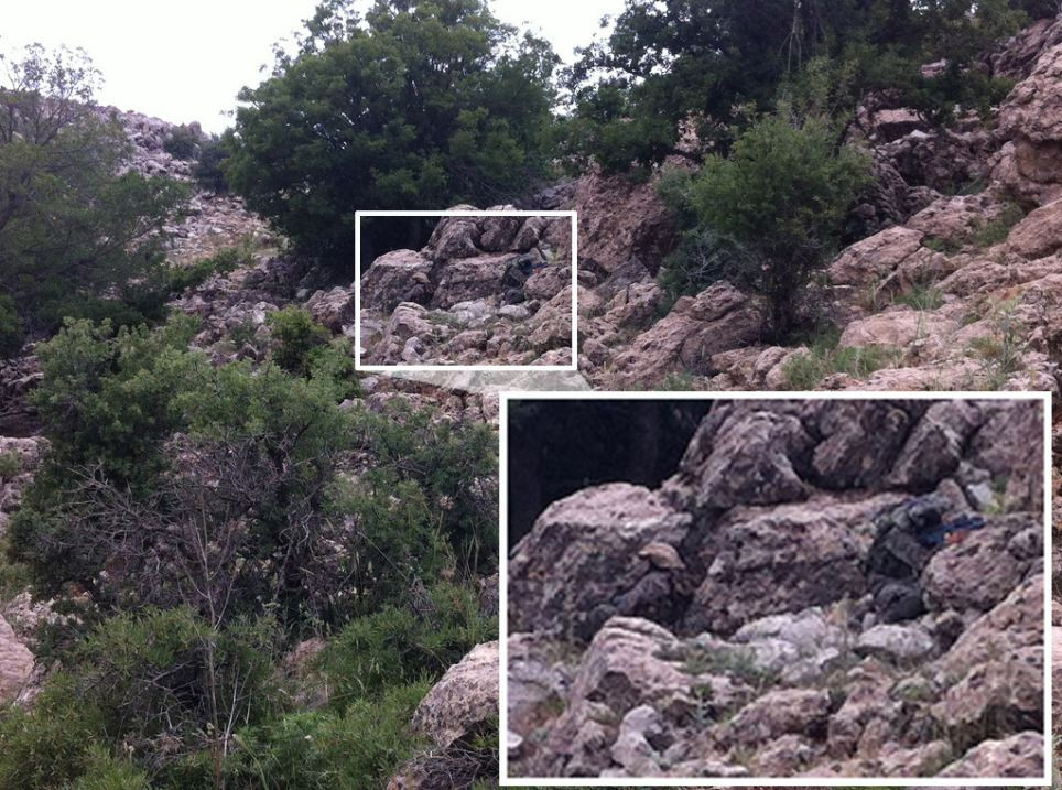 Provocarea zilei: incearca sa gasesti soldatul camuflat din imaginea asta