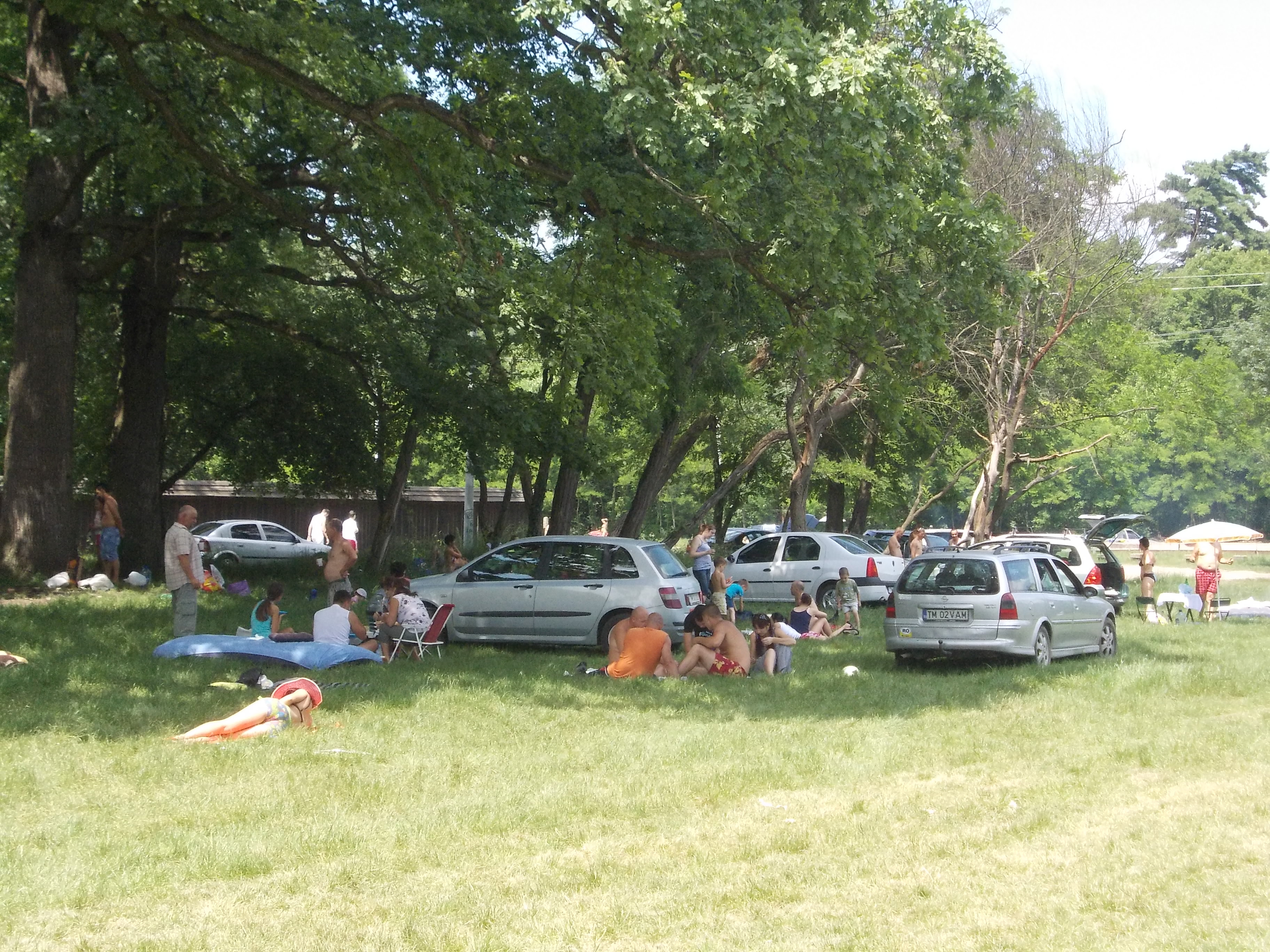Timisorenii sarbatoresc Rusaliile la iarba verde cu mici si bere. Altii se racoresc la strand