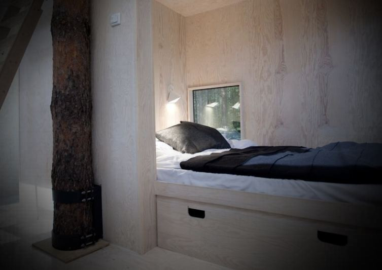 Poti s-o observi? Aceasta este casa care se camufleaza perfect