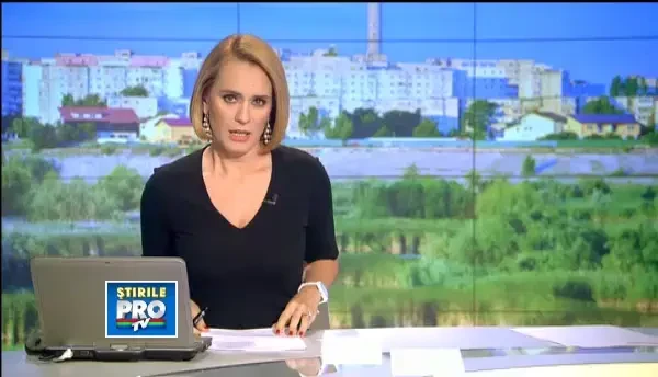 Delta din centrul Bucurestiului ar putea fi protejata. Ce se va intampla cu proprietarii terenului