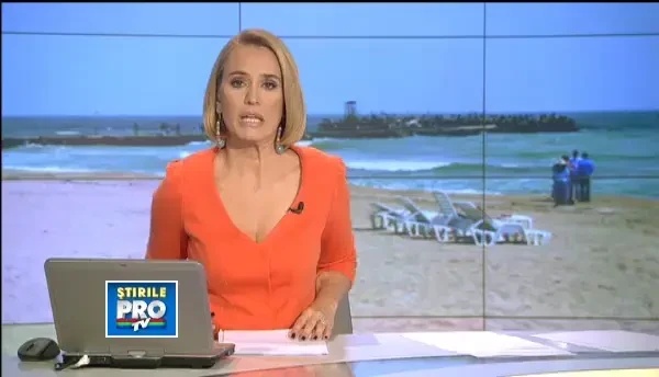 Cei 24 de palmieri din Eforie Sud, furati de un agent de paza care a vrut sa se simta ca in Hawaii