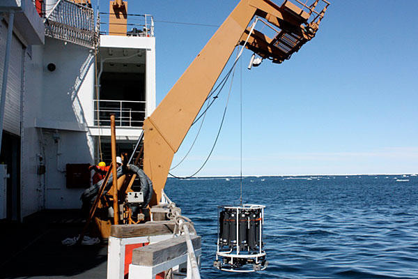 VIDEO. Descoperire NASA, in Oceanul Arctic. "E ca si cum ai gasi o padure tropicala in desert"