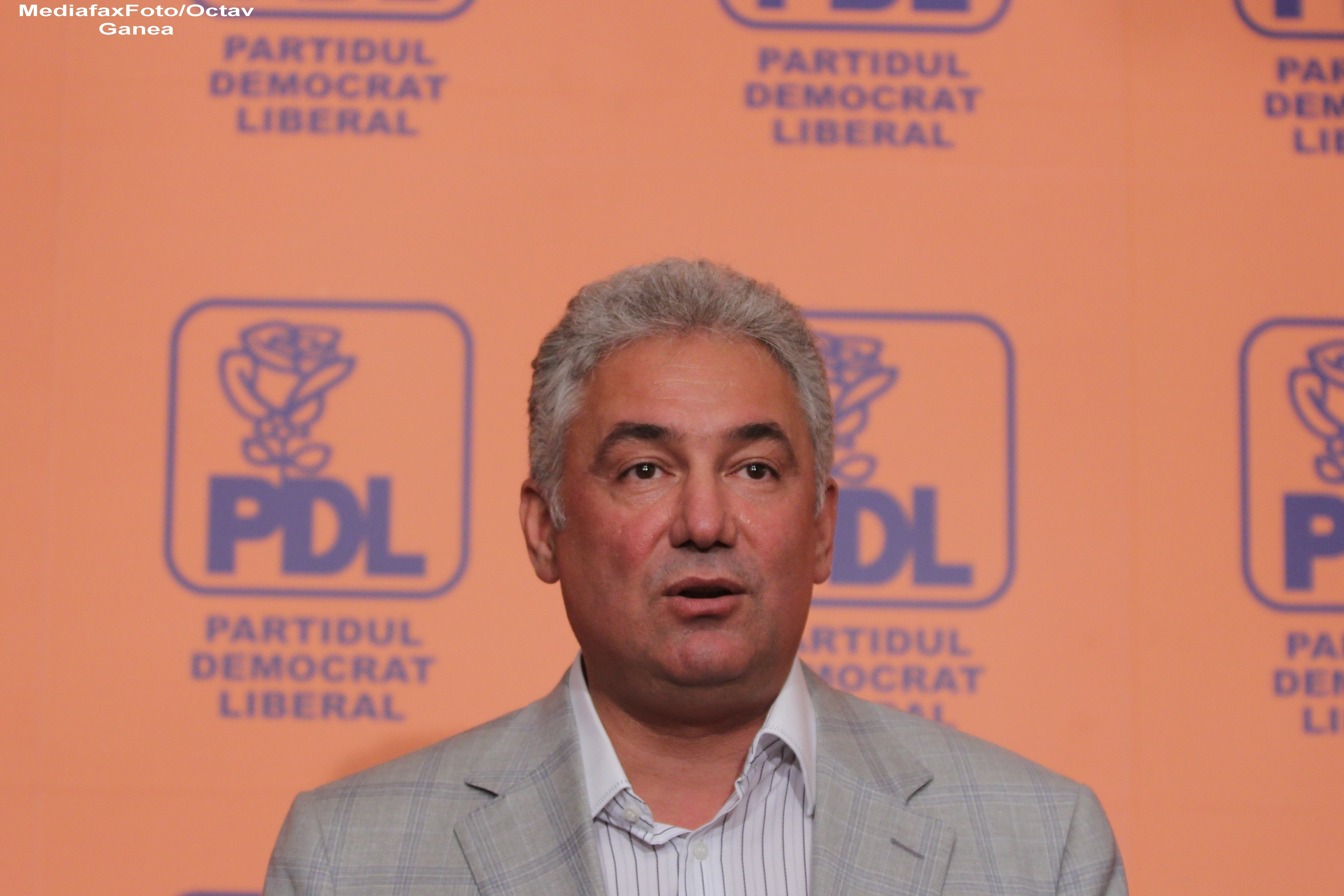 Rezultate alegeri locale 2012. Adriean Videanu: Ponderea votului politic - PDL 21%, USL 51%