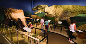 "Dinozaurii au fost creati de Dumnezeu, in doar cateva zile". Lectia primita de elevii din SUA