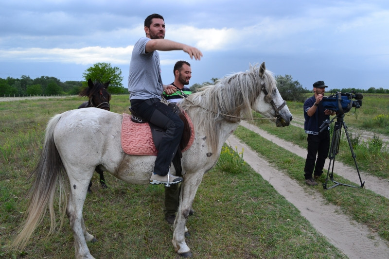 Caii de la LETEA – o ancheta de Alex Dima la Romania, te iubesc