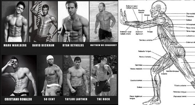 Cei mai tari barbati ai lumii: 8 antrenamente si diete DIFERITE! Alege stilul care ti se potriveste si poti arata ca ei!
