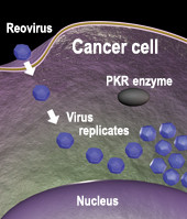Asa arata virusul care ar putea SALVA omenirea. Un tratament revolutionar
