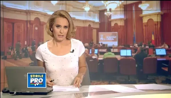 Boc: Nu mai candidez la nicio functie in partid, raman simplu membru PDL